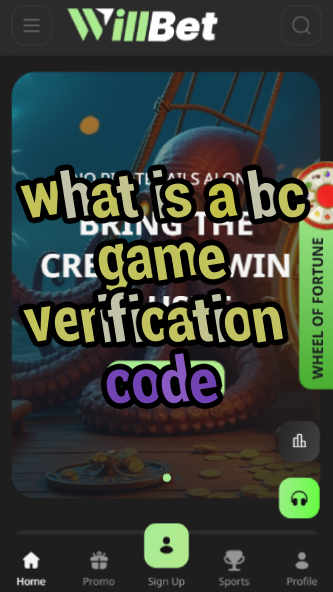 What is a BC Game Verification Code?-vz72fvrf.com