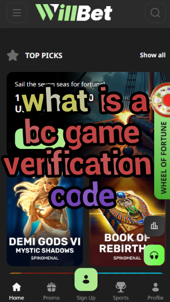 What is a BC Game Verification Code?-vz72fvrf.com