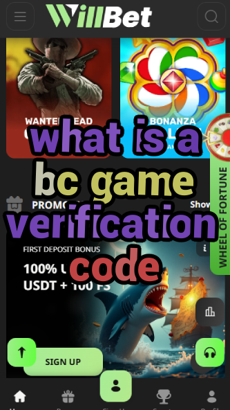 What is a BC Game Verification Code?-vz72fvrf.com